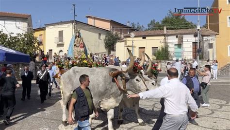 Antiche Tradizioni I Fedeli Di Anzano Di Puglia Accolgono La Statua