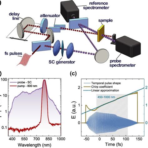 The Pump Probe Dynamics For Different Probe Wavelengths For A Znse