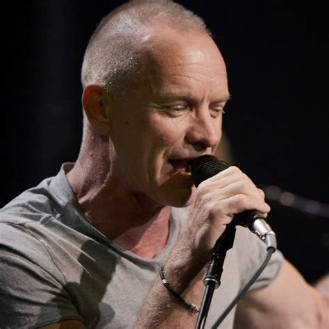 Sting (Musician) Biography