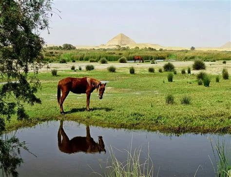 Dahshur Pyramids: Why should people visit Dahshur pyramids?