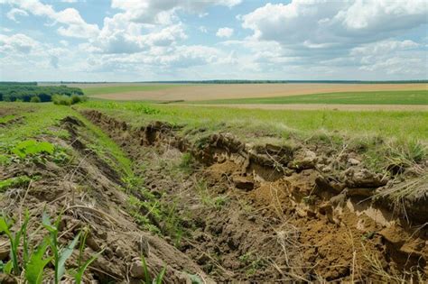 Assessing Biodiversity Loss From Soil Erosion Ar Generative Ai