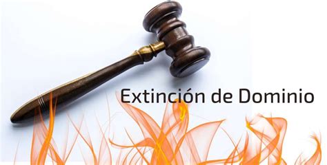 Anotaciones Sobre El Procedimiento De Extinci N De Dominio Samuel