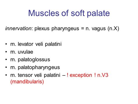 Oral Cavity And Pharynx Ppt Video Online Download