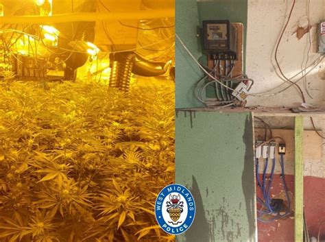 Busted Huge Cannabis Factory Spread Across Four Floors At Smethwick Industrial Unit Express