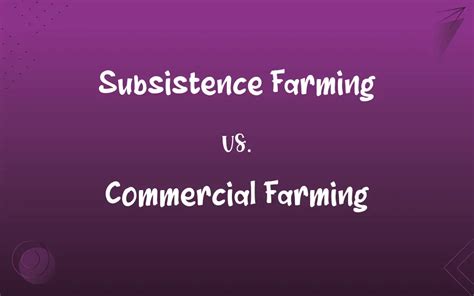 Subsistence Farming Vs Commercial Farming Whats The Difference