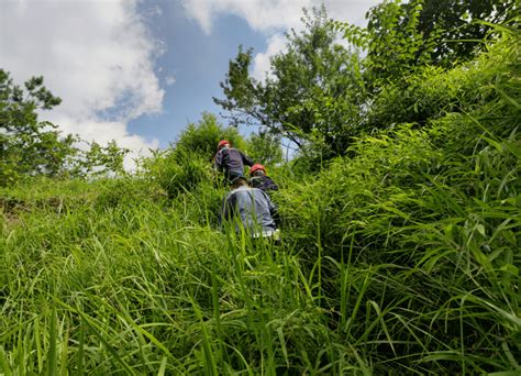 南网三都供电局：周末不休，全面突击促降跳工作