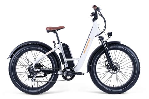 Best Electric Bikes for Sale