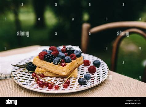 Healthy lunch in the garden Stock Photo - Alamy