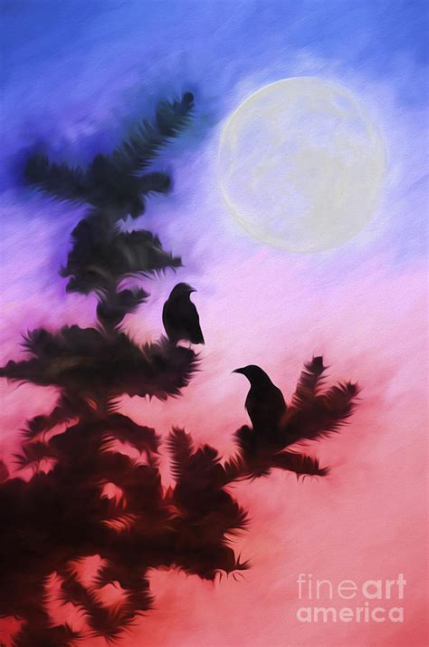 Blackbirds Of The Night Photograph By Darren Fisher Fine Art America