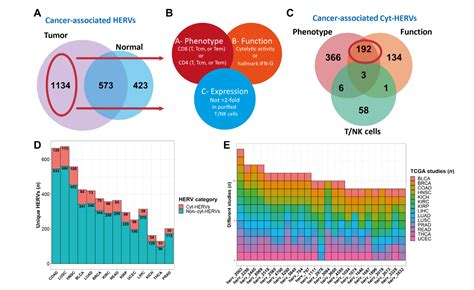 Identify And Quantify Neoantigens Derived From Human Endogenous