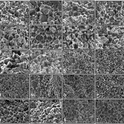 Scanning Electron Microscope Photomicrographs Of A Crystalline