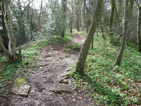 The Wye Valley Walk In Black Cliff Wood Jeremy Bolwell Geograph