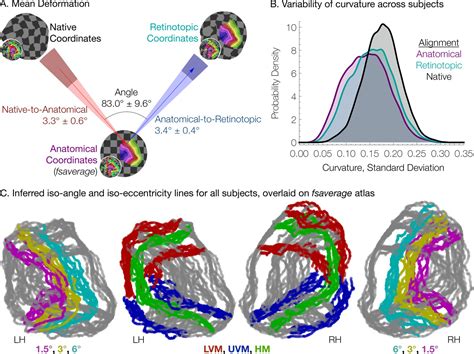 Bayesian Analysis Of Retinotopic Maps ELife