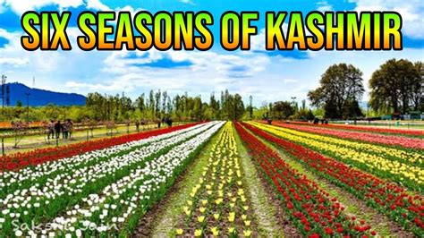 Six Seasons Of Jammu Kashmir Kashmir Weather And Climate Local Names Of Kashmiri Seasons