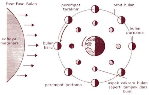 pengertian rotasi bulan  fase fase bulan purnama bulan sabit