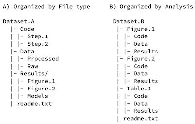 Directory Structure Data Management