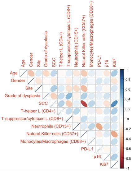 Applied Sciences Free Full Text Immunohistochemical Differences In