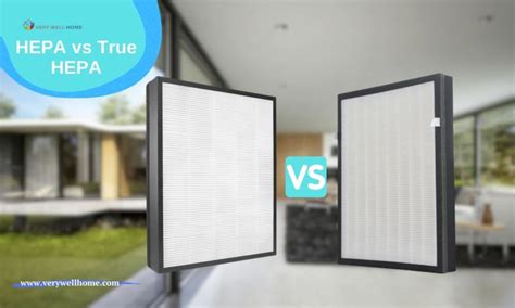 Hepa Vs True Hepa The Truth About Air Filters Unveiled