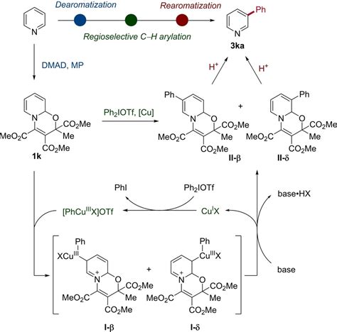 Metaselective Coppercatalyzed Ch Arylation Of Pyridines And