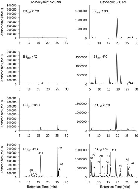 Hplc Pda Chromatograms Showing The Flavonoid Profiles Of Pc Cpl1 And B3 Download Scientific