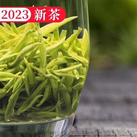 赋雅轩茶叶蒙顶甘露云雾绿茶2023新茶特级正宗蒙顶山茶 三钻 虎窝淘