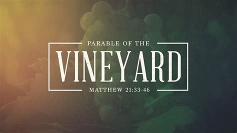 Message: “The Parable of the Vineyard” from Phil Ayres – LifePoint ...