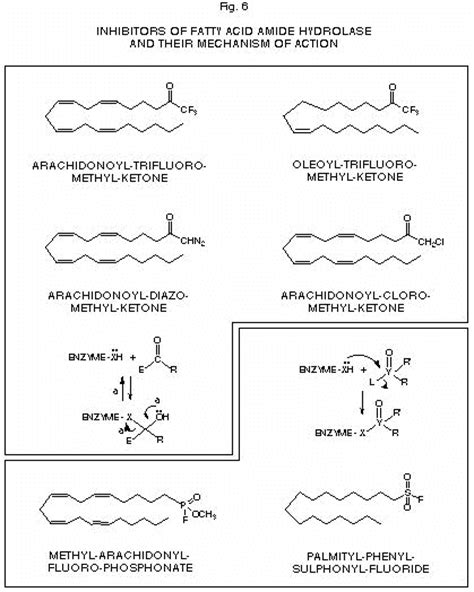 Hemiketal Formation