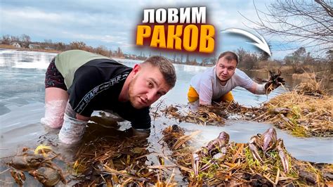 ЛОВЛЮ РАКОВ РУКАМИ В ЛЕДЯНОЙ ВОДЕ - YouTube