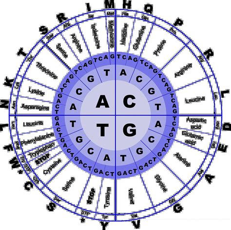 The Genetic Code Microbiology Study