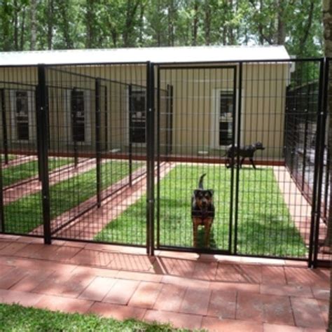 How To Build Dog Suites A Modern Boarding Kennel Alternative Doggie