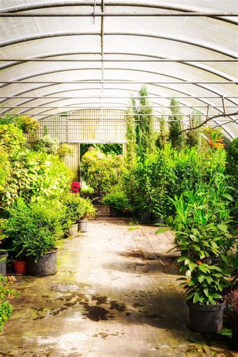Premium Photo Greenhouse