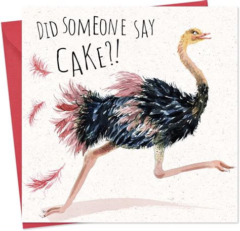 Twizler Funny Birthday Card Ostrich Funny Card Blank Women Humour