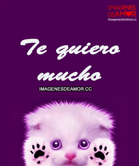 Gato Lamiendo Y Frase Te Quiero Mucho Puppies  Love Kiss