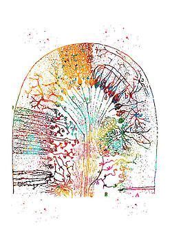 Nerve Cells By Erzebet S Nerve Cell Metal Posters Handmade Poster