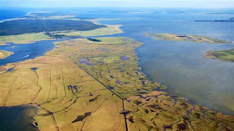 Vogelschutz Insel Kirr In Mecklenburg Vorpommern Naturefund