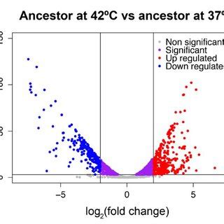 Phenotypic characterization of the ancestor at 37ºC and 42ºC A 953