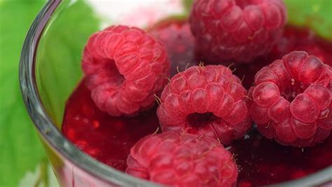 Какие ягоды самые полезные