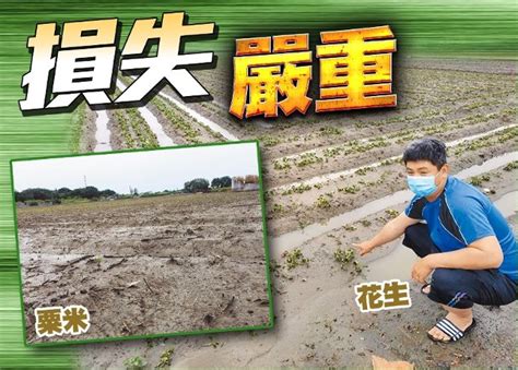 暴雨釀逾33億新台幣農業損失 菜價創今年新高