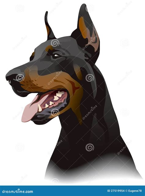 Doberman Cartoons, Illustrations & Vector Stock Images - 9646 Pictures ...