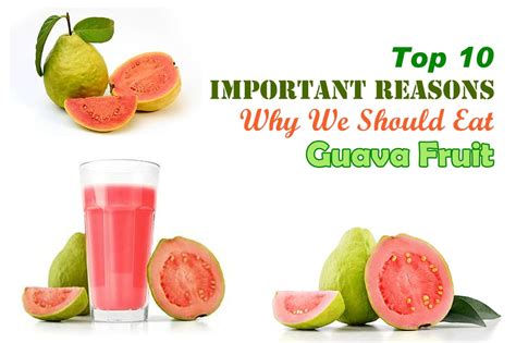 TOP 10 HEALTH BENEFITS OF GUAVA FRUIT – FitOlympia