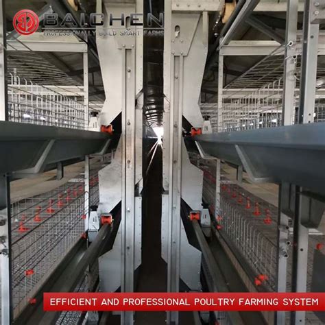 Automatic Chicken Poultry Farming 3 Tiers 4 Tiers H Type Broilers Cage