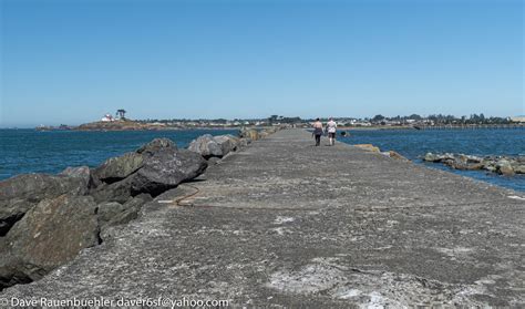 Crescent City 8 2020 Jetty Looking Back At The Harbor Dave R Flickr