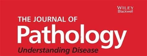 Read It Himmelfarb The Journal Of Pathology The Rotation A
