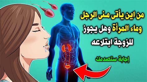 هل يجوز للزوجة أن تبتلع منى زوجها اثناء الجماع ؟ ومن اين يأتى منى الرجل