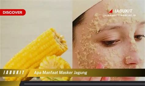 Intip 7 Manfaat Masker Jagung Yang Bikin Kamu Penasaran Discover