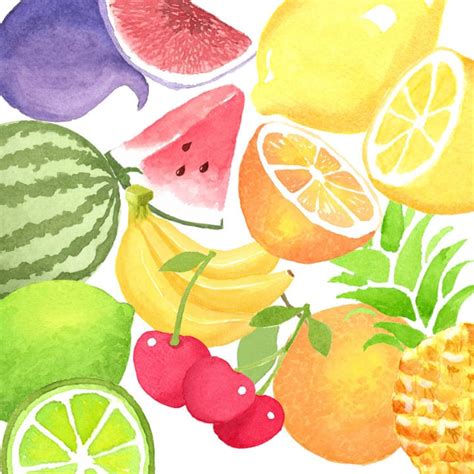 Fruit Slices Watercolor Png Summer Clipart Set Illustrations The Best