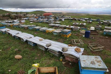 October 5 2023 Ardabil Iran Beehives Are Seen Just Near Ardabil