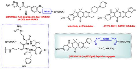 Pharmaceutics Free Full Text Synthesis And Anti Angiogenic Activity