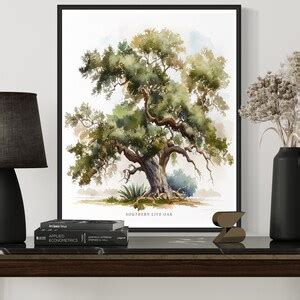 Southern Live Oak Tree Art Print Southern Live Oak Tree Wall Art