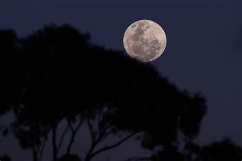 First Of Two August Supermoons In Spectacular Show Canberra Daily